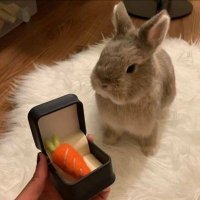 🔔 (@iloveyouso_y) 's Twitter Profile