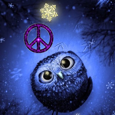 OwlHoot14 Profile Picture