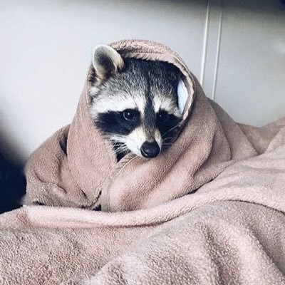 Pole__1_'s profile picture. #margins