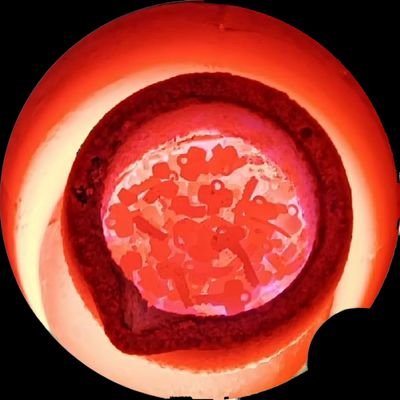 ICU81TOMANY's profile picture. You have never Lived,
Until you have almost Died. 
   And,
    For those who fight for it,  Life has a special flavor the protected will never know.