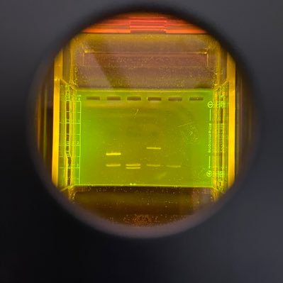 DrRoye's profile picture. Igniting future scientists, one student at a time.