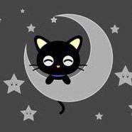 gatos & foda se