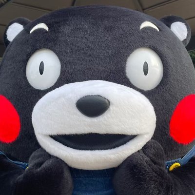 大好きなくまモンがBTSの曲を踊っていて、何となく聞いてみたらちょっとだけはまりました。今はお休み中です。これからはやりたかった事にトライしていきます。韓国語以外に英語も頑張って色々な方達とお話ししたいです。Steely Dan、坂本龍一、simply red等UK、香港、トニー・レオン、鬼平犯科帳、大好きです。