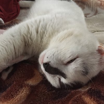 XMegaJuni's profile picture. FFXIV: Megajuni Victoria on Gilgamesh | Retired normal mode parser. Blue check