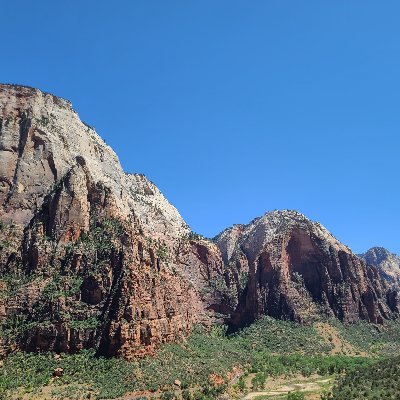 Callmeschlomo's profile picture. Mythical creature