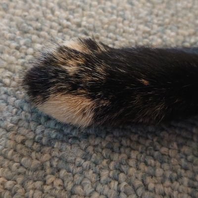 soF2ukOsJwbdZqE's profile picture. 食、芸術、石等情報収集に活用中