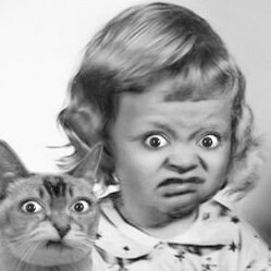 Orlando30641010's profile picture. What the funk. I like bees.