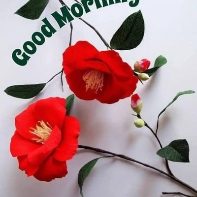 Smdrafi40549233's profile picture. Ok