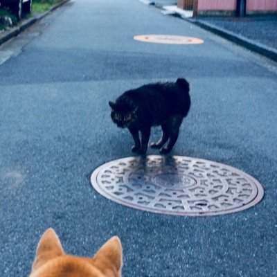 心に刺さった言葉、気に入っているフレーズやそのほかをゆるーく不定期に、ランダムに。10代の頃から気になった言葉を雑誌や新聞から切り抜き、Webはプリントアウトしてファイリングしてます。2022年の早期退職をきっかけにこのアカウントを開始。55歳(2022年9月時点)からの自分探し中。暗中模索、試行錯誤しています。