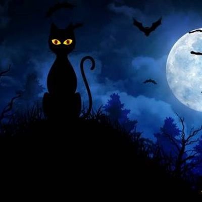 ButterInTheCup's profile picture. ✝️🐱⚽