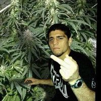diablo (@nickdiablodiaz) 's Twitter Profile Photo diablo (@nickdiablodiaz) 's Twitter Profile Photo