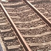R Train (@rtrain17486332) 's Twitter Profile Photo R Train (@rtrain17486332) 's Twitter Profile Photo