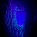 Southern California Glory Hole Super Center (@socalglorygoat) Twitter profile photo Southern California Glory Hole Super Center (@socalglorygoat) Twitter profile photo