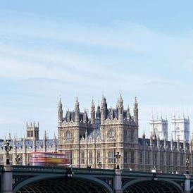 VQRuFZBD3Ip5Vex's profile picture. 