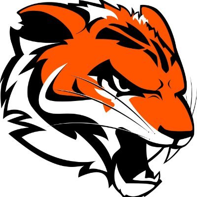 RitValorant's profile picture. Official Twitter of the RIT Valorant Team