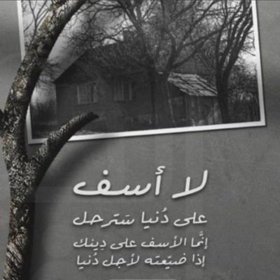 بْرالوّالدَينُ قصَةِتكَتبهًاانِتّ ويُروًيهْالكِ ابَنائك فأحسْن الكتاِبْة♡