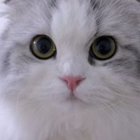 スコ (@rubgtraedtfjebd) Twitter profile photo