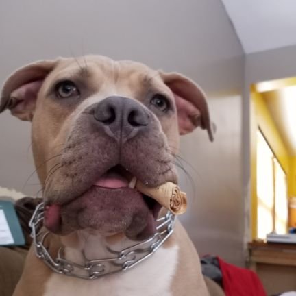 Mamabear5511's profile picture. 