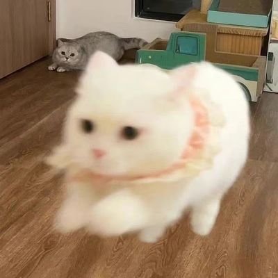 交个朋友吧