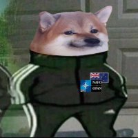 jerrygarry KiwiFella (@jerrygarry) 's Twitter Profile