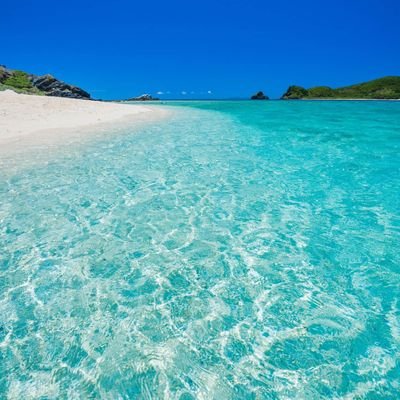 mizLb6HHxO39rhl's profile picture. 