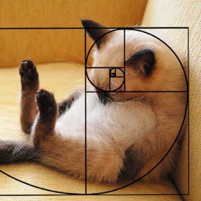 TcgMathtrivia's profile picture. entusiasta de la matemática