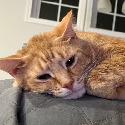 spofiesadface's profile picture. https://t.co/GfuCYAJ6oe