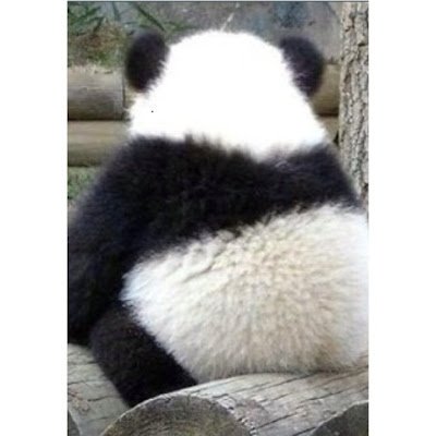 bonbon4140's profile picture. 