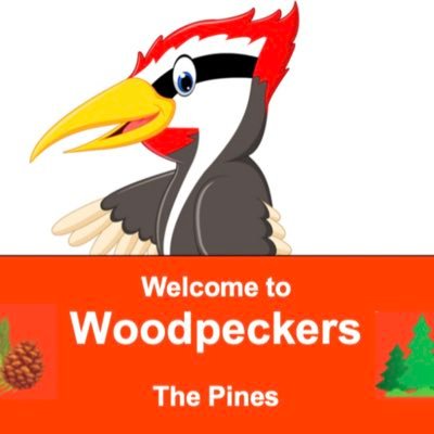 Woodpeckers_RCP's profile picture. Woodpeckers class in The Pines at Redgate Community Primary School. Mr O Stretton.