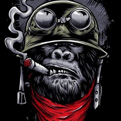 AdamaLandoure's profile picture. 