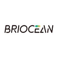 Briocean Technology(@BrioceanTech) 's Twitter Profile Photo