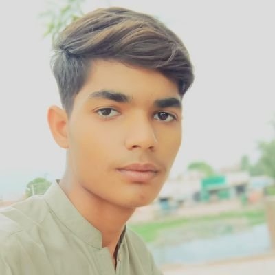 Pakistan Muslim League N