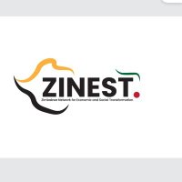 Zinest(@Zinestafrica) 's Twitter Profileg