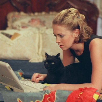 HumanWizardCat's profile picture. 9 lives 🐱🧶🥛🐟🐁