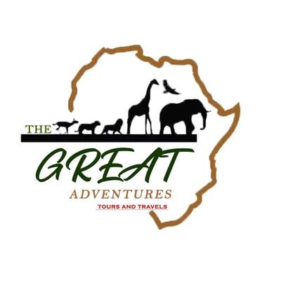 Tours and Travel Agency which  is a private tour firm that provides tourism related services to the public eg vacations,transportation,guides,hotel booking