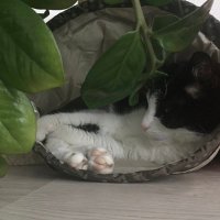 Mone (@mone0000007) 's Twitter Profile