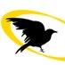 Ravensdale Primary (@ravensdaleps) Twitter profile photo