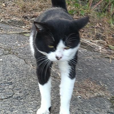 ここからまた地べたに踏ん張って🐜うつむきたくなっても🐜空を見上げる🇯🇵凍結されツイから離れ約2年2022年7月あの方と共にまた歩こうと決めた