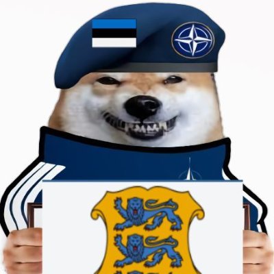 TxnisEST's profile picture. Everyone is an FELLA NAFO explorer. #WeAreNAFO #nafofellas 
Join our team! Good benefits and pay!