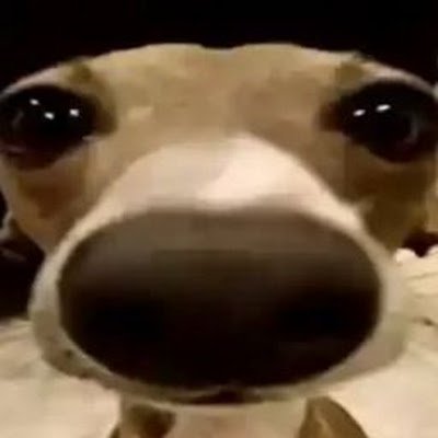 riptechno12ip's profile picture. 