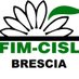 fimbrescia (@fimbrescia) Twitter profile photo fimbrescia (@fimbrescia) Twitter profile photo