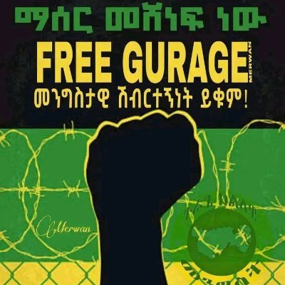 tigisitu's profile picture. Yisirshe