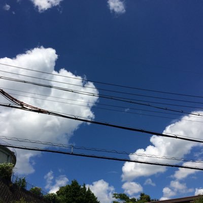 sasakura50's profile picture. ポンコツ会社員。移動中と帰宅後に見てます。リポストは、内容に100%同意しているとは限りません。