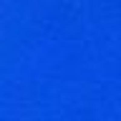 BruceSn63543500's profile picture. MU-CASAP