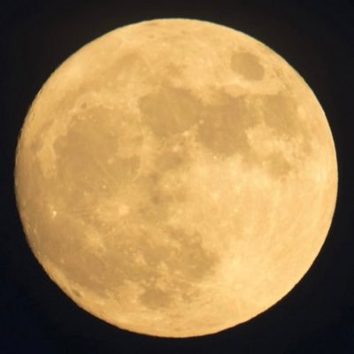 CriptoPlastic's profile picture. Came here for the long run. No pain, no gain 💪🏻🔥