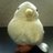 stray_sheepXX's profile image