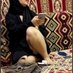 محارم عراقي (@slaveslayer56) Twitter profile photo محارم عراقي (@slaveslayer56) Twitter profile photo