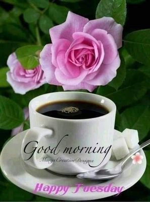 sriton12's profile picture. 