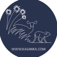 The Kasanka Trust (@kasankatrust) 's Twitter Profile