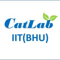 CatLab IIT(BHU) (@bhucatlab) 's Twitter Profile